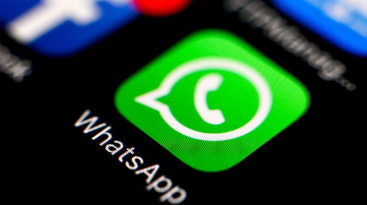 WhatsApp üzerinden neler gönderilebilir?