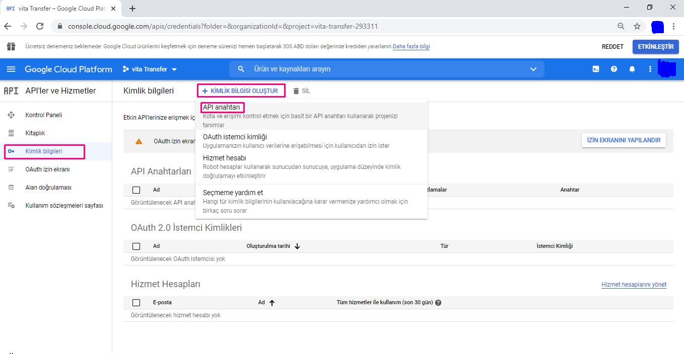 Google maps api key alma