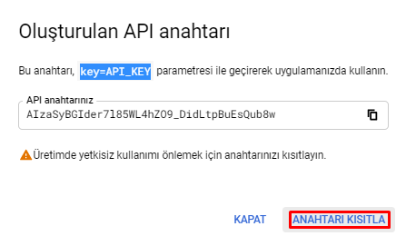 Google maps api key alma