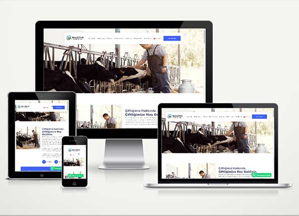 diyarbakır Besi Çiftliği Web Sitesi Paketi Cow v4.5